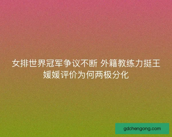 女排世界冠军争议不断 外籍教练力挺王媛媛评价为何两极分化